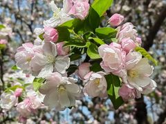 -海棠花溪(元大都城垣遗址公园)