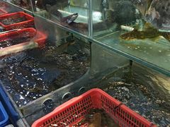 -大笑饭堂(甲子桥店)