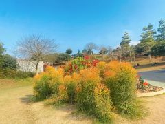 -东莞植物园