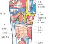 -艺林盲人按摩院(古北店)