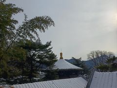 -潭柘寺景区