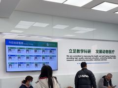 -中国农业大学动物医院