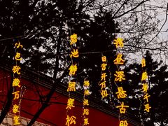 -大雁塔北广场音乐喷泉