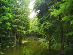 -尚湖风景区