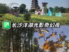 -洋湖国家湿地公园