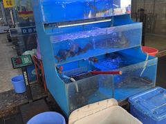 -韩妹鱼庄·泸定老字号(泸定店)