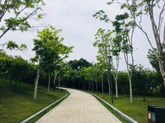-牛岗山公园