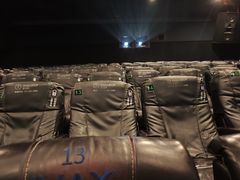 -万达影城(锦华万达广场IMAX店)