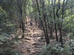 -火炉山森林公园