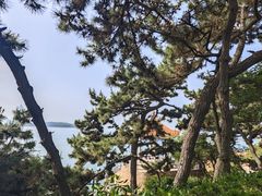 -青岛第一海水浴场