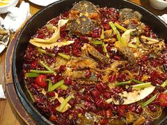 -老板恋上鱼(印象城店)