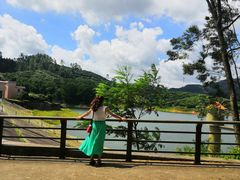 景点-大屏嶂森林公园