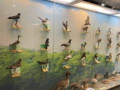 -下渚湖国家湿地公园科普馆