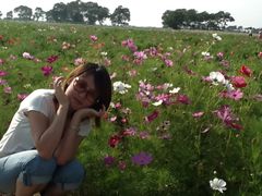 -紫海香堤香草艺术庄园