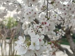 -青岛鑫江温德姆酒店