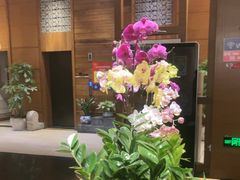 -黔蘑菇四季餐厅(观山湖店)