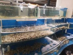 -四海蒸鲜蒸汽海鲜自助(北戴河店)