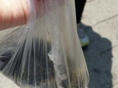 -叶氏麻糍(鼓浪屿店)