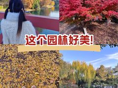 -秋霞圃
