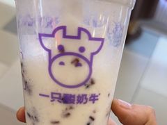 -一只酸奶牛(群光店)