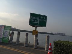 -海鸥岛