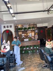 点击看大图 -IDO艾渡护肤造型