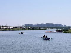 -春花秋色城市公园