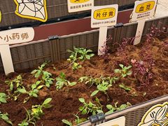-武汉荟聚