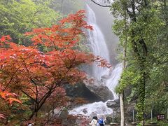 -大围山国家森林公园