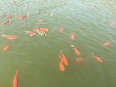 -济南马套将军山