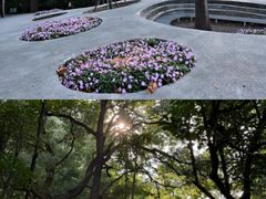 -中山公园