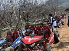 -南山特攻真人CS户外露营轰趴拓展基地