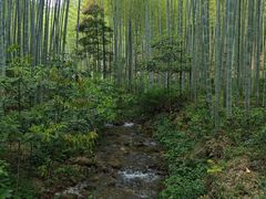 -黄公望隐居地