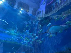 -华夏文旅海洋公园