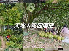 -梅州天地人花园酒店(梅县人民广场店)