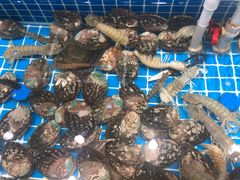 -友鹏海鲜(新宜白大道店)