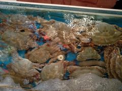 -小铜锣湾海鲜家常菜馆(河西店)