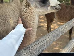 -鄂尔多斯野生动物园