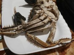 船奇蒸汽海鲜-船奇蒸汽海鲜·闽菜(八市海鲜总店)