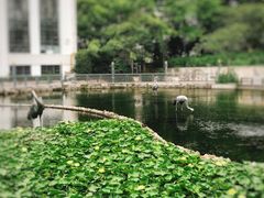 -苏州河梦清园环保主题公园