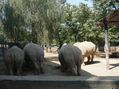 -西安秦岭野生动物园