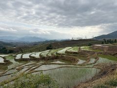 -牙胡梯田景区