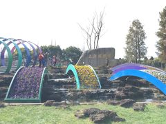 -上海植物园·停车场