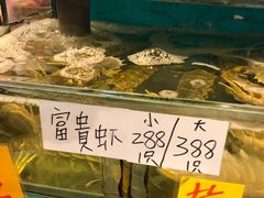 水产区-鲜入围煮花胶鸡海鲜火锅