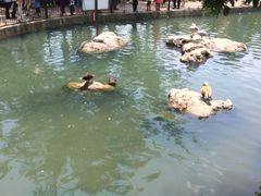 -昆明动物园