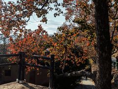-塔川景区