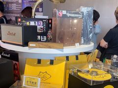 -浣熊唱片店(上海影城店)