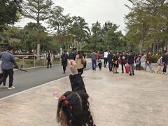 -灵玲国际马戏城