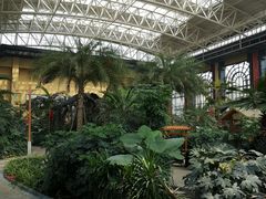 -郑州银基黄帝宫御温泉