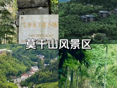 -莫干山风景区